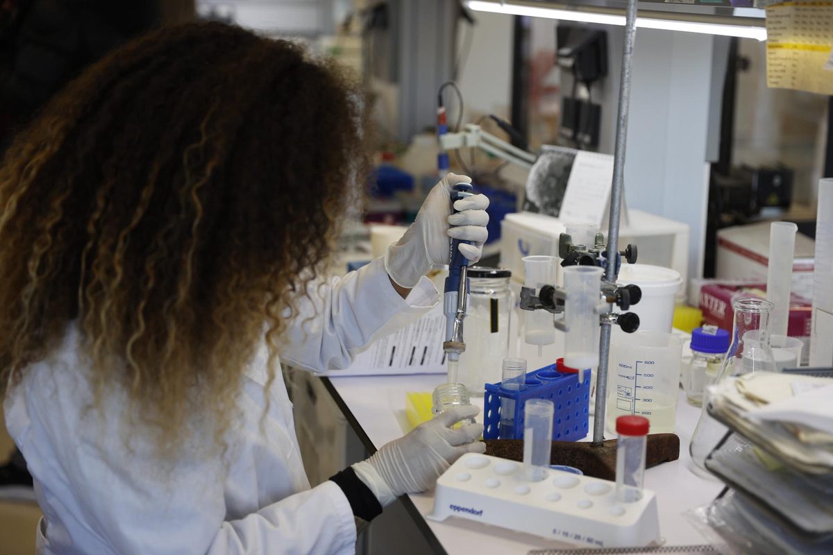 Investigadoras mexicanas estudian microalgas para elaborar colorantes sostenibles