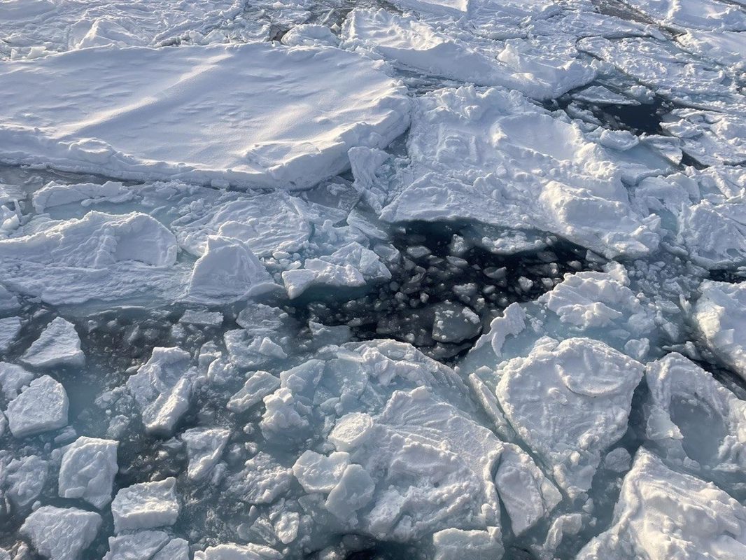 Adiós ‘pausa’: el hielo invernal del Ártico vuelve a disminuir drásticamente