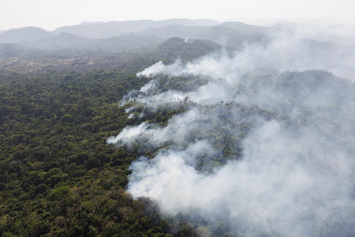 La Amazonía brasileña registra en 2025 la menor superficie quemada en 41 años