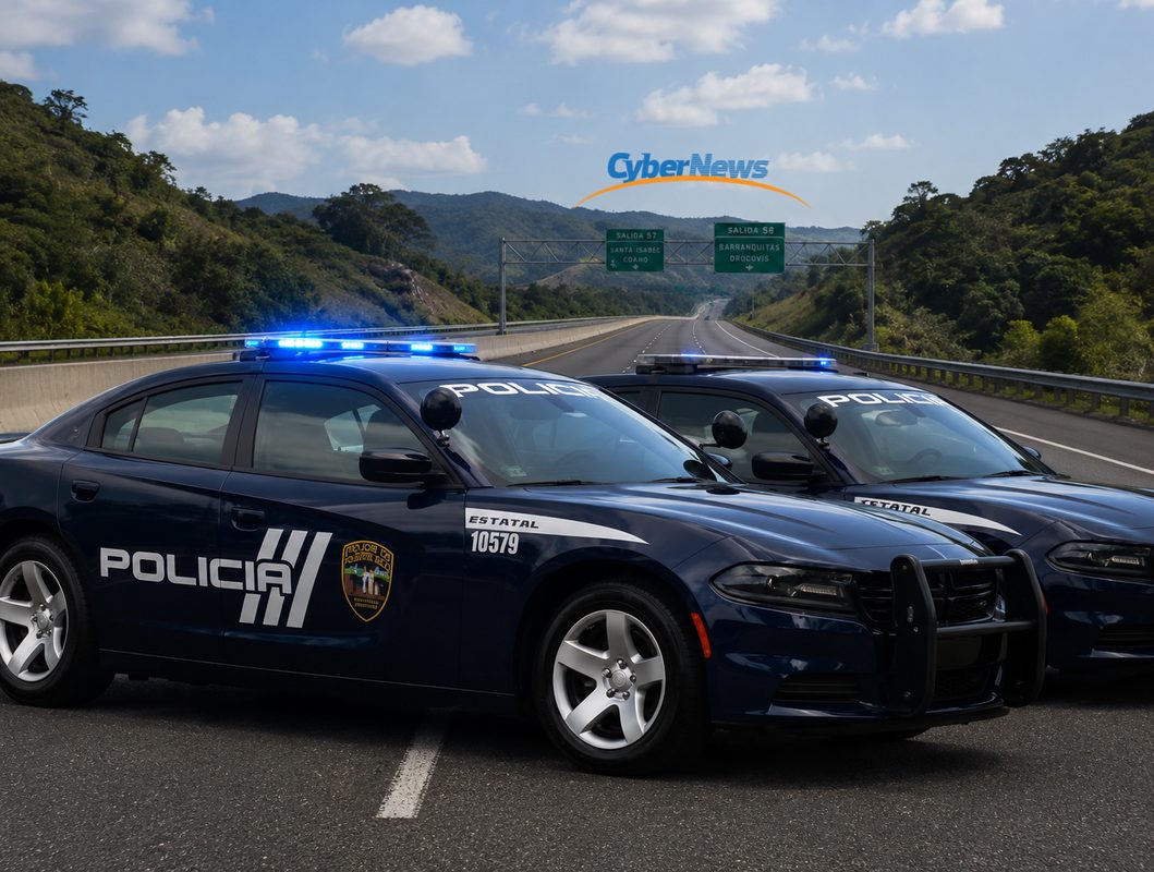 Roban seis vacas valoradas en 12 mil dólares en Cayey