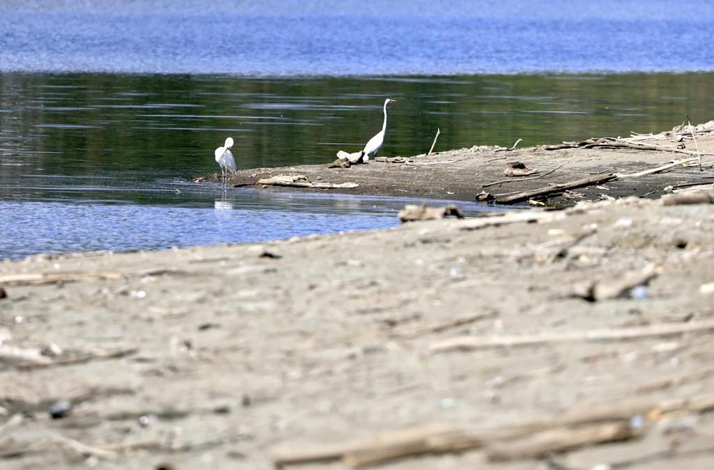 La sequía extrema aumenta en Puerto Rico, afectando al 17 % del territorio
