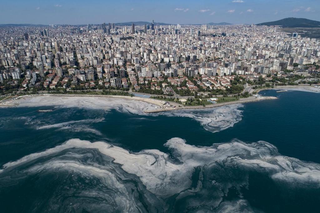 El cambio climático provoca altas temperaturas oceánicas sin precedentes en Europa